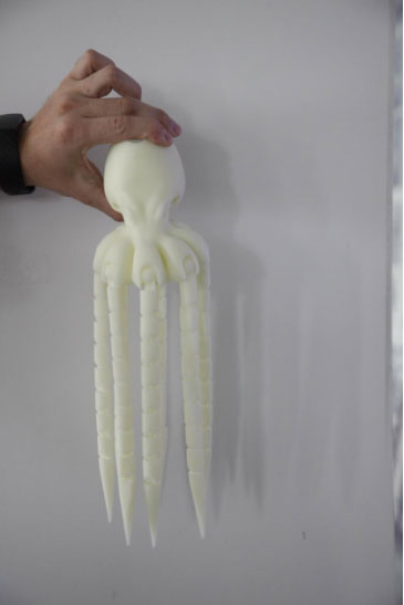 3D Printing Octopus Model