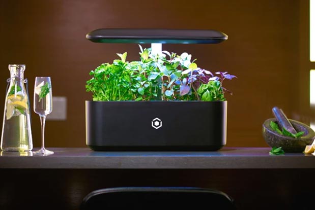 nasa-inspired-led-lighting-for-3d-plant