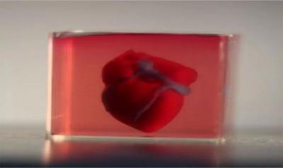 Israel Has Completed the First 3D Printed Human Heart with Blood Vessels and Cells