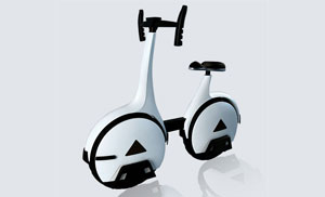 Bi-Uni Convertible SLA 3D Printing Bicycle