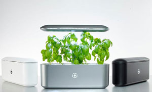 AVA BYTE Sustainable Indoor Garden Prototype