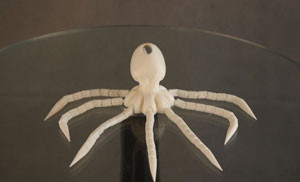 3D Printing Octopus Model